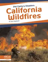 Pożary w Kalifornii - California Wildfires