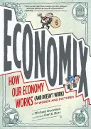 Economix: Jak działa (i nie działa) nasza gospodarka w słowach i obrazach - Economix: How Our Economy Works (and Doesn't Work), in Words and Pictures