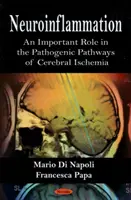 Neurozapalenie - ważna rola w patogenetycznych ścieżkach niedokrwienia mózgu - Neuroinflammation - An Important Role in the Pathogenic Pathways of Cerebral Ischemia