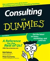 Konsulting dla opornych - Consulting for Dummies