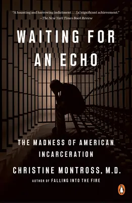 Czekając na echo: Szaleństwo amerykańskiego więzienia - Waiting for an Echo: The Madness of American Incarceration