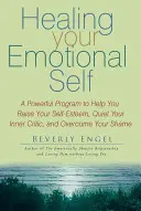 Healing Your Emotional Self: A Powerful Program to Help You Raise Your Self-Esteem, Quiet Your Inner Critic, and Overcome Your Shame