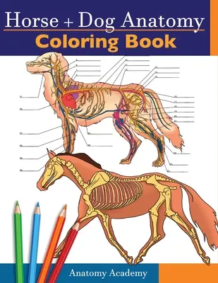 Horse + Dog Anatomy Coloring Book: Kompilacja 2 w 1: Niezwykle szczegółowy kolorowy zeszyt do samodzielnego testowania anatomii koni i psów Idealny prezent dla weterynarzy - Horse + Dog Anatomy Coloring Book: 2-in-1 Compilation Incredibly Detailed Self-Test Equine & Canine Anatomy Color workbook Perfect Gift for Veterinary