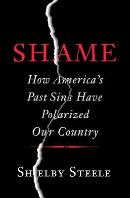 Wstyd: Jak dawne grzechy Ameryki spolaryzowały nasz kraj - Shame: How America's Past Sins Have Polarized Our Country