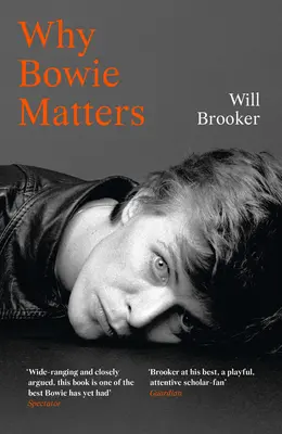 Dlaczego Bowie ma znaczenie - Why Bowie Matters