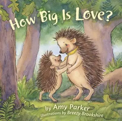 Jak wielka jest miłość (wyściełana książka planszowa) - How Big Is Love? (Padded Board Book)