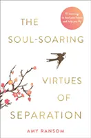 Soul-Soaring Virtues of Separation - 111 lekcji, które uzdrowią twoje serce i pomogą ci latać - Soul-Soaring Virtues of Separation - 111 Learnings to Heal Your Heart and Help You Fly