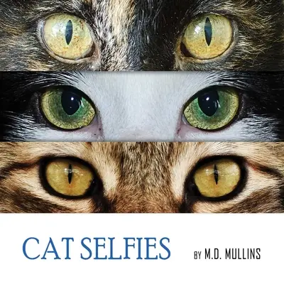 Kocie selfie - Cat Selfies