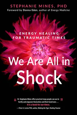 Wszyscy jesteśmy w szoku: uzdrawianie energią w traumatycznych czasach - We Are All in Shock: Energy Healing for Traumatic Times