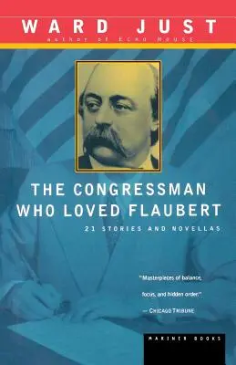 Kongresmen, który kochał Flauberta: 21 opowiadań i nowel - The Congressman Who Loved Flaubert: 21 Stories and Novellas