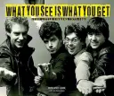 To, co widzisz, jest tym, co dostajesz: Stiff Little Fingers 1977-1983 - What You See Is What You Get: Stiff Little Fingers 1977-1983