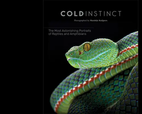 Matthijs Kuijpers: Zimny instynkt - Matthijs Kuijpers: Cold Instinct