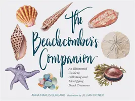 The Beachcomber's Companion: Ilustrowany przewodnik po zbieraniu i identyfikowaniu plażowych skarbów (Watercolor Seashell and Shell Collecting Book, Bea - The Beachcomber's Companion: An Illustrated Guide to Collecting and Identifying Beach Treasures (Watercolor Seashell and Shell Collecting Book, Bea
