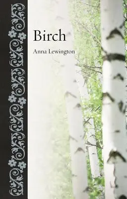 Brzoza - Birch