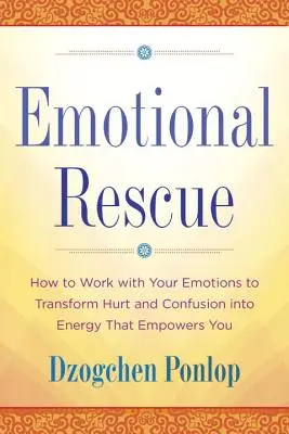 Emocjonalny ratunek: Jak pracować ze swoimi emocjami, aby przekształcić ból i dezorientację w energię, która cię wzmacnia - Emotional Rescue: How to Work with Your Emotions to Transform Hurt and Confusion Into Energy That Empowers You