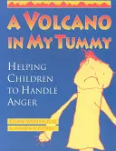 Wulkan w moim brzuchu: Pomaganie dzieciom w radzeniu sobie z gniewem - A Volcano in My Tummy: Helping Children to Handle Anger