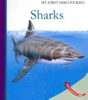 Rekiny - Sharks