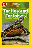 Żółwie - Poziom 2 - Turtles and Tortoises - Level 2