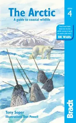 Arktyka: Przewodnik po dzikich zwierzętach wybrzeża - The Arctic: A Guide to Coastal Wildlife