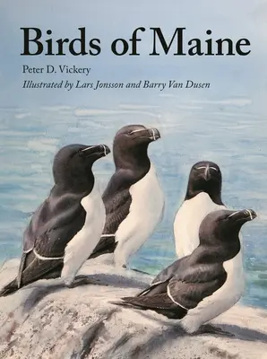 Ptaki Maine - Birds of Maine