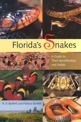 Węże Florydy: Przewodnik po ich identyfikacji i zwyczajach - Florida's Snakes: A Guide to Their Identification and Habits