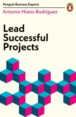 Prowadzenie udanych projektów - Lead Successful Projects
