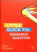 Pytanie badawcze: Little Quick Fix - Research Question: Little Quick Fix