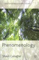 Fenomenologia - Phenomenology