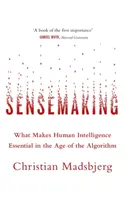 Sensemaking - Co sprawia, że ludzka inteligencja jest niezbędna w erze algorytmów? - Sensemaking - What Makes Human Intelligence Essential in the Age of the Algorithm