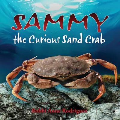 Ciekawski krab piaskowy Sammy - Sammy the Curious Sand Crab