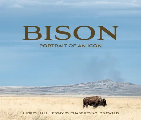 Żubr: Portret ikony - Bison: Portrait of an Icon