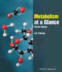 Metabolizm w skrócie - Metabolism at a Glance