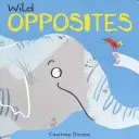 Przeciwieństwa - Opposites