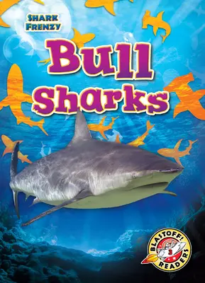 Rekiny bycze - Bull Sharks