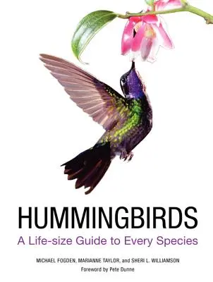 Kolibry: Przewodnik po wszystkich gatunkach w naturalnej wielkości - Hummingbirds: A Life-Size Guide to Every Species