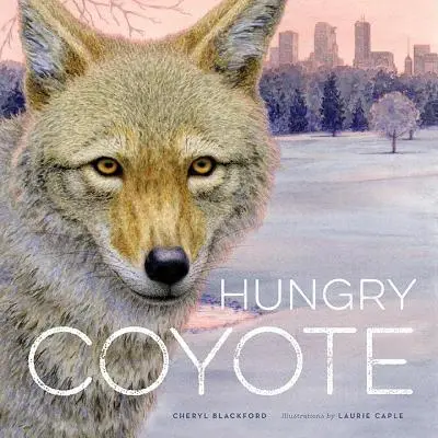 Głodny Kojot - Hungry Coyote