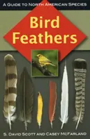 Ptasie pióra: Przewodnik po gatunkach Ameryki Północnej - Bird Feathers: A Guide to North American Species