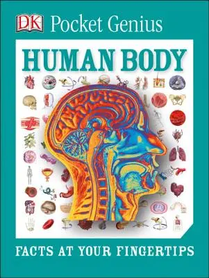 Pocket Genius: Human Body: Fakty na wyciągnięcie ręki - Pocket Genius: Human Body: Facts at Your Fingertips