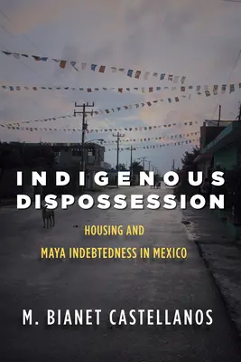 Wywłaszczenie rdzennej ludności: Mieszkalnictwo i zadłużenie Majów w Meksyku - Indigenous Dispossession: Housing and Maya Indebtedness in Mexico