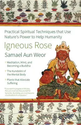 Igneous Rose: Magia, energia seksualna i umysł wewnętrznego Buddy - Igneous Rose: The Magic, Sexual Energy, and Mind of the Inner Buddha