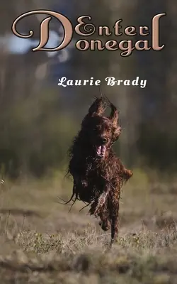 Wprowadź Donegal - Enter Donegal