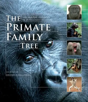 Drzewo genealogiczne naczelnych: Niesamowita różnorodność naszych najbliższych krewnych - The Primate Family Tree: The Amazing Diversity of Our Closest Relatives