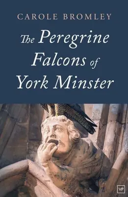 Sokoły wędrowne z York Minster - Peregrine Falcons of York Minster