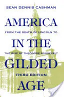 Ameryka w pozłacanym wieku: wydanie trzecie - America in the Gilded Age: Third Edition