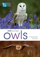 Rspb Spotlight - Sowy - Rspb Spotlight Owls