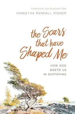 Blizny, które mnie ukształtowały: Jak Bóg spotyka nas w cierpieniu - The Scars That Have Shaped Me: How God Meets Us in Suffering