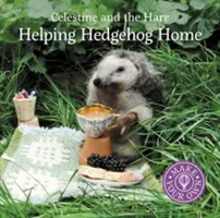 Pomoc jeżowi do domu - Helping Hedgehog Home