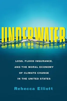 Pod wodą: Straty, ubezpieczenia powodziowe i moralna ekonomia zmian klimatycznych w Stanach Zjednoczonych - Underwater: Loss, Flood Insurance, and the Moral Economy of Climate Change in the United States