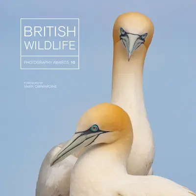 Nagrody British Wildlife Photography Awards 10 - British Wildlife Photography Awards 10