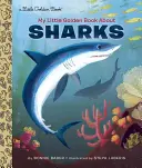 Moja złota książeczka o rekinach - My Little Golden Book about Sharks